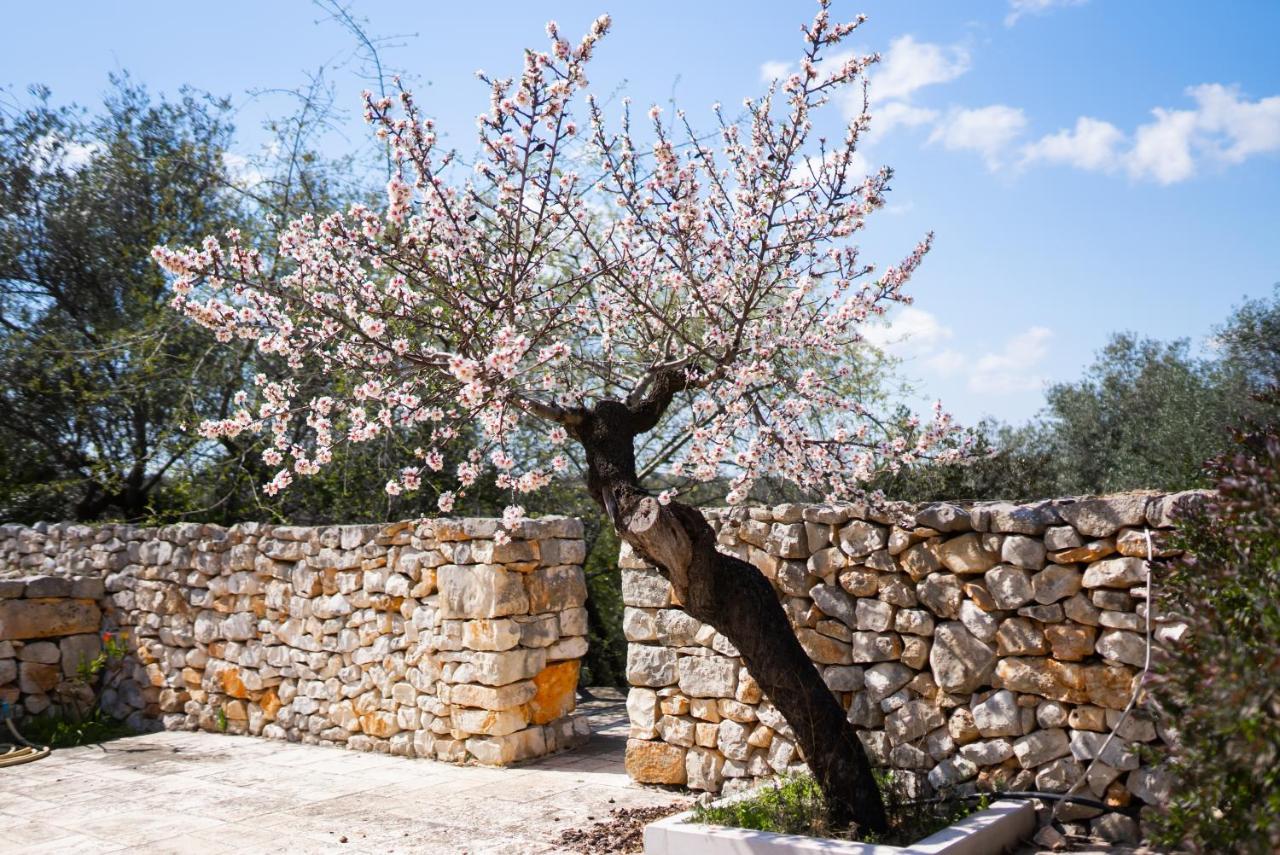 Masseria Montepaolo Dimora Di Charme Κονβερσάνο Εξωτερικό φωτογραφία