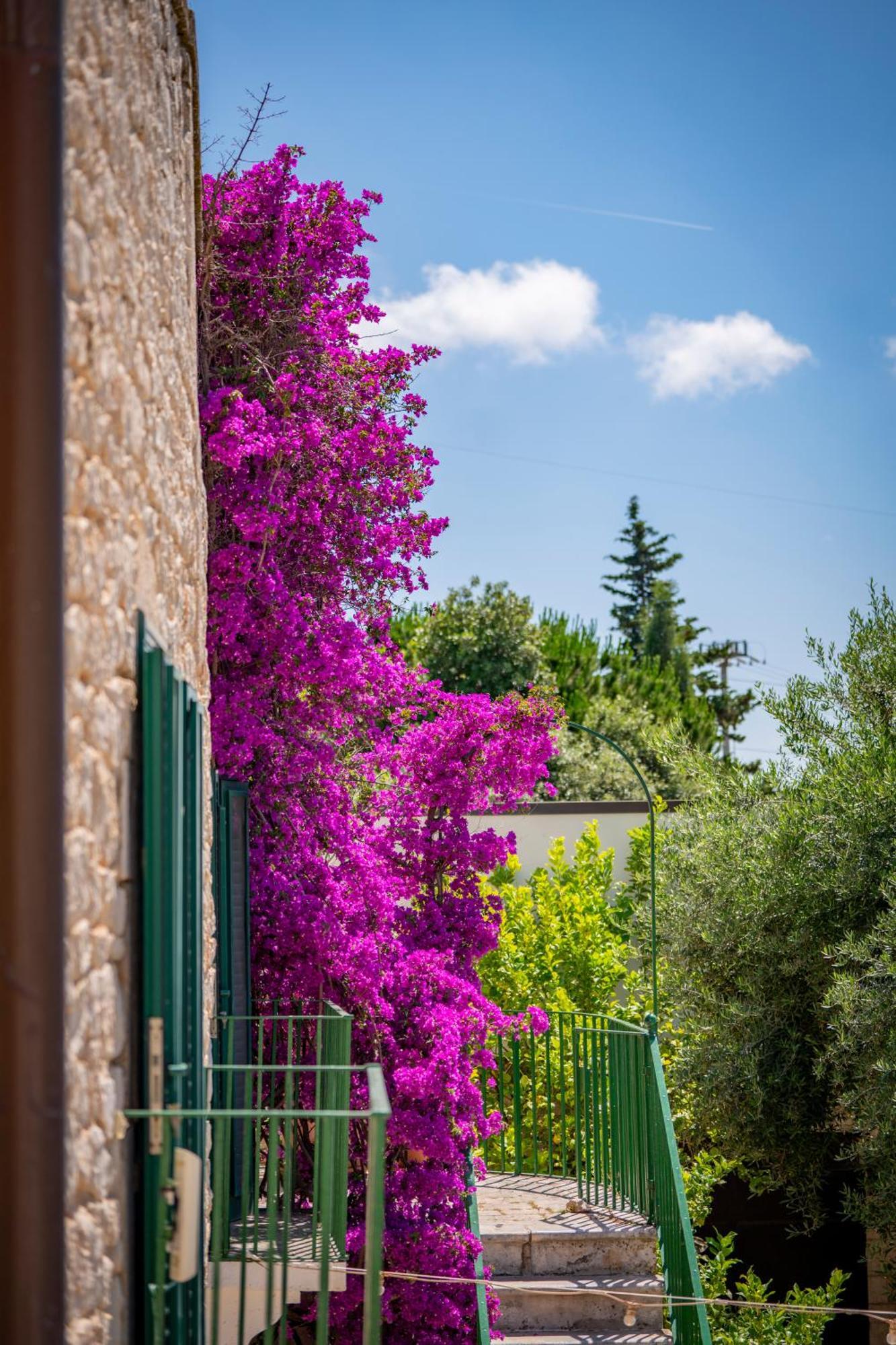 Masseria Montepaolo Dimora Di Charme Κονβερσάνο Εξωτερικό φωτογραφία